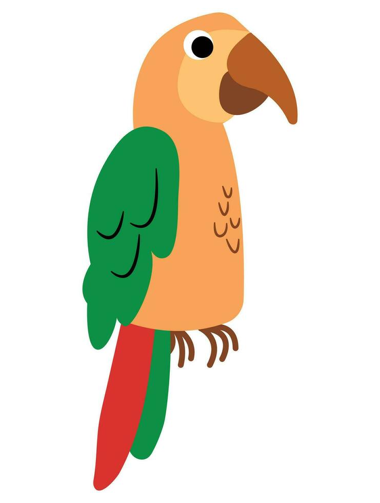 Cute hand drawn bright parrot. Animal safari. White background, isolate. vector