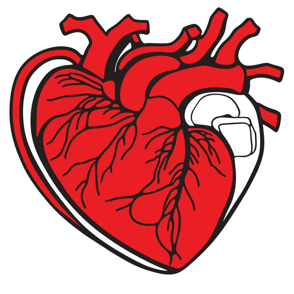 rojo corazón, vector ilustración línea Arte