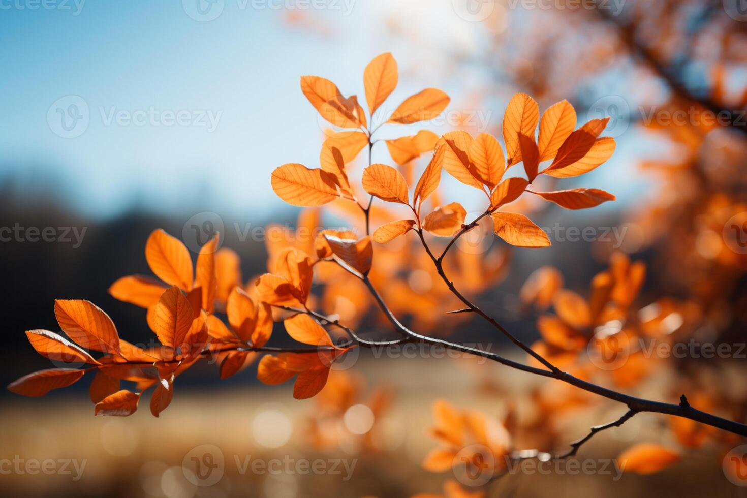 soleado otoño paisaje con radiante hojas en ramas debajo claro cielo ai generado foto