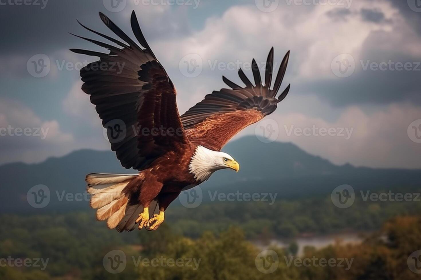 Elevated majesty, Fish Eagle reigns supreme amidst the celestial clouds photo