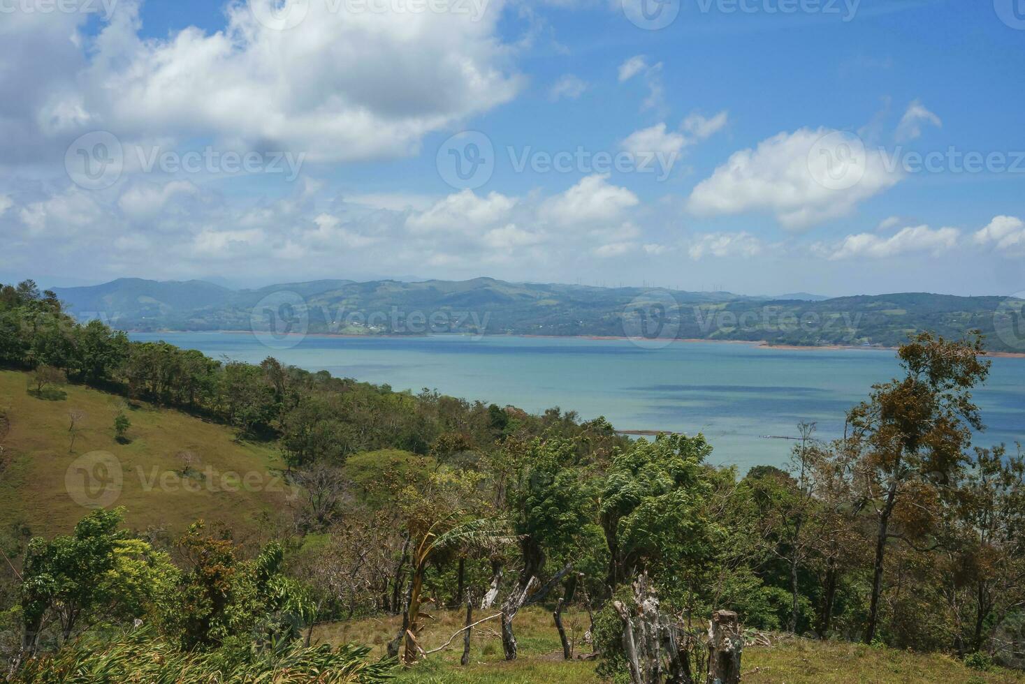 Seascape amidst trees and mountain landscape photo