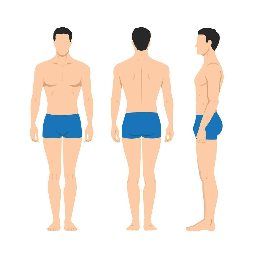 Vector illustration of three men in underwear on the white background. Flat young man. Front view man, Side view man, Back side view man