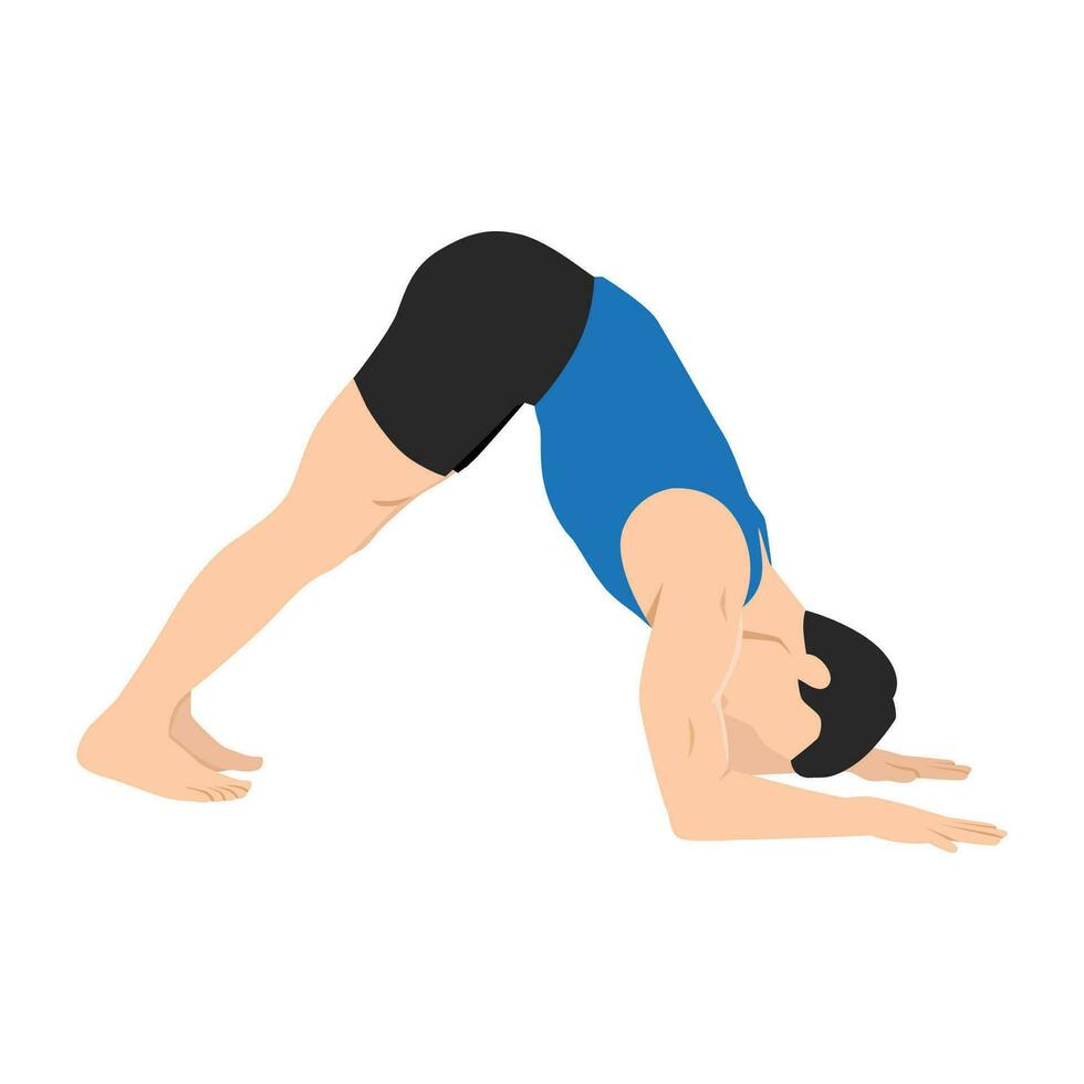 Man doing Dolphin pose ardha pincha mayurasana exercise. vector