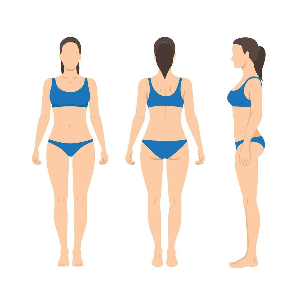 This woman body has the center of gravity above. The waist and bust are high. The joints and below the knees are thin. She is wearing underwear. Front, Side, Rear vector