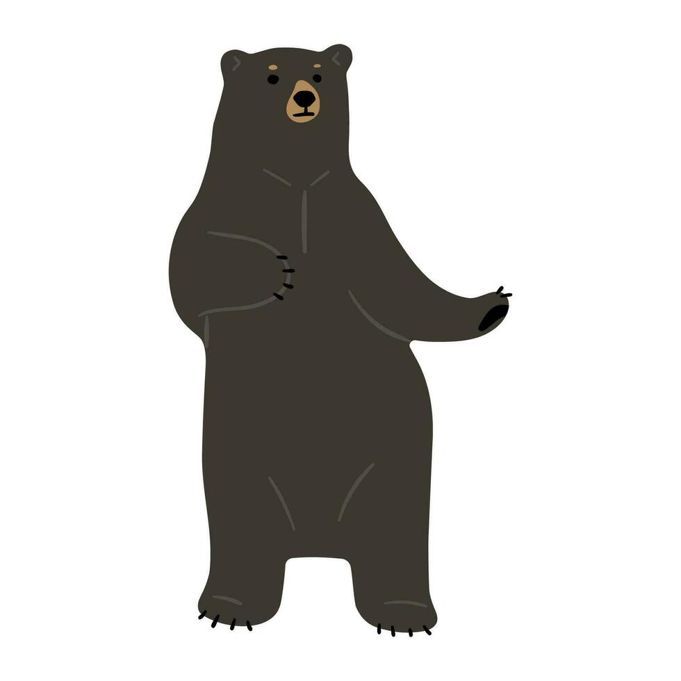 American Black Bear Single vector