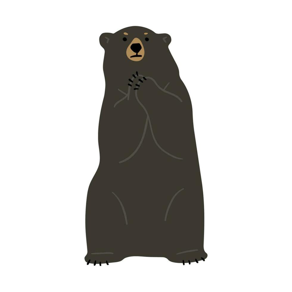 American Black Bear Single vector