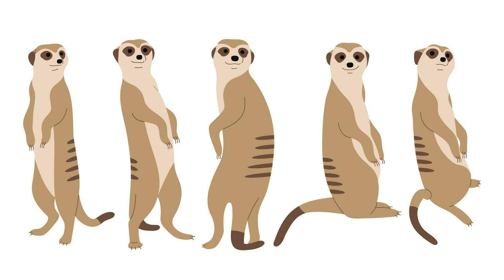 Cute Meerkat Group vector