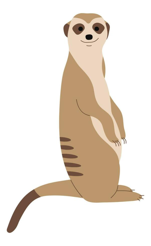 Meerkat Single cute vector