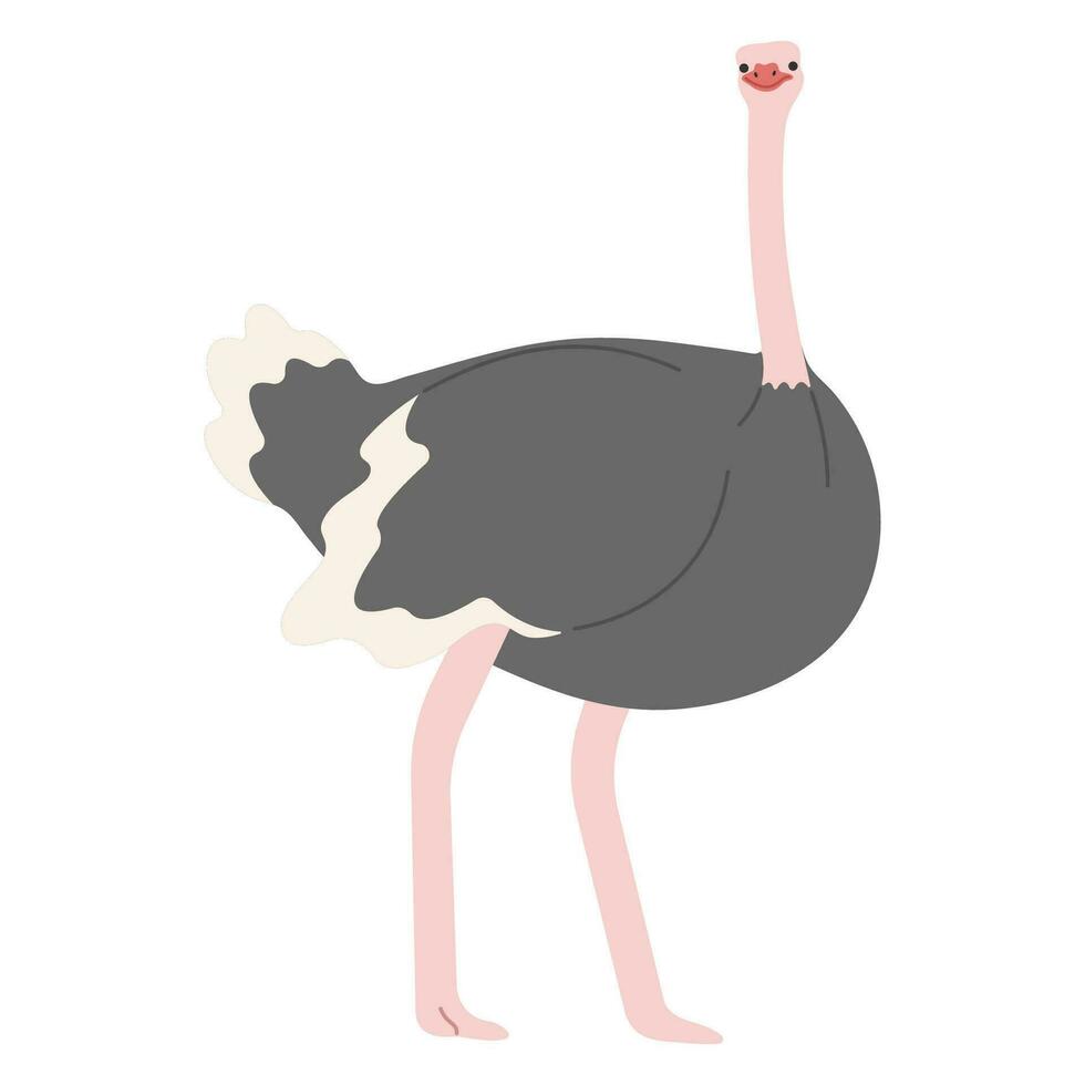 Ostrich Single free vector