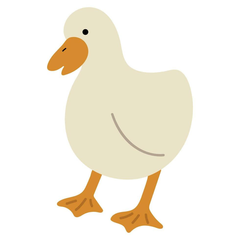 Duck White Single 31 vector