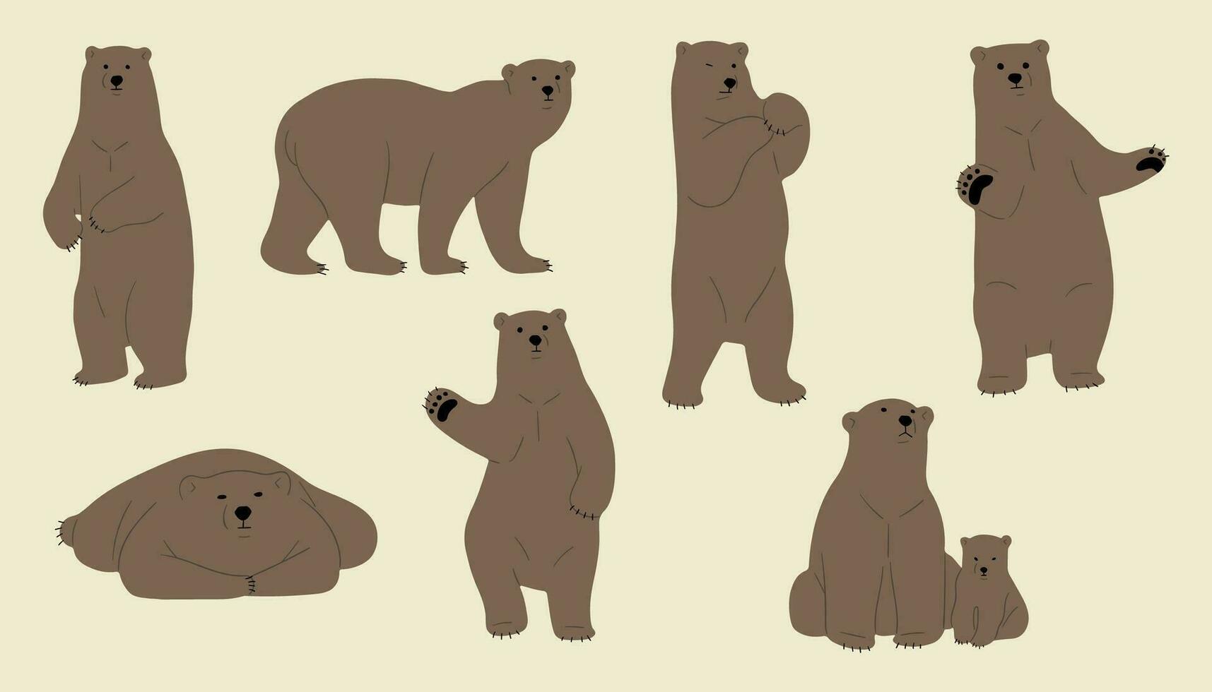oso pardo oso linda grupo vector