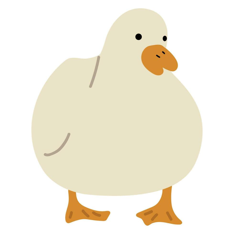 Duck White Single vector