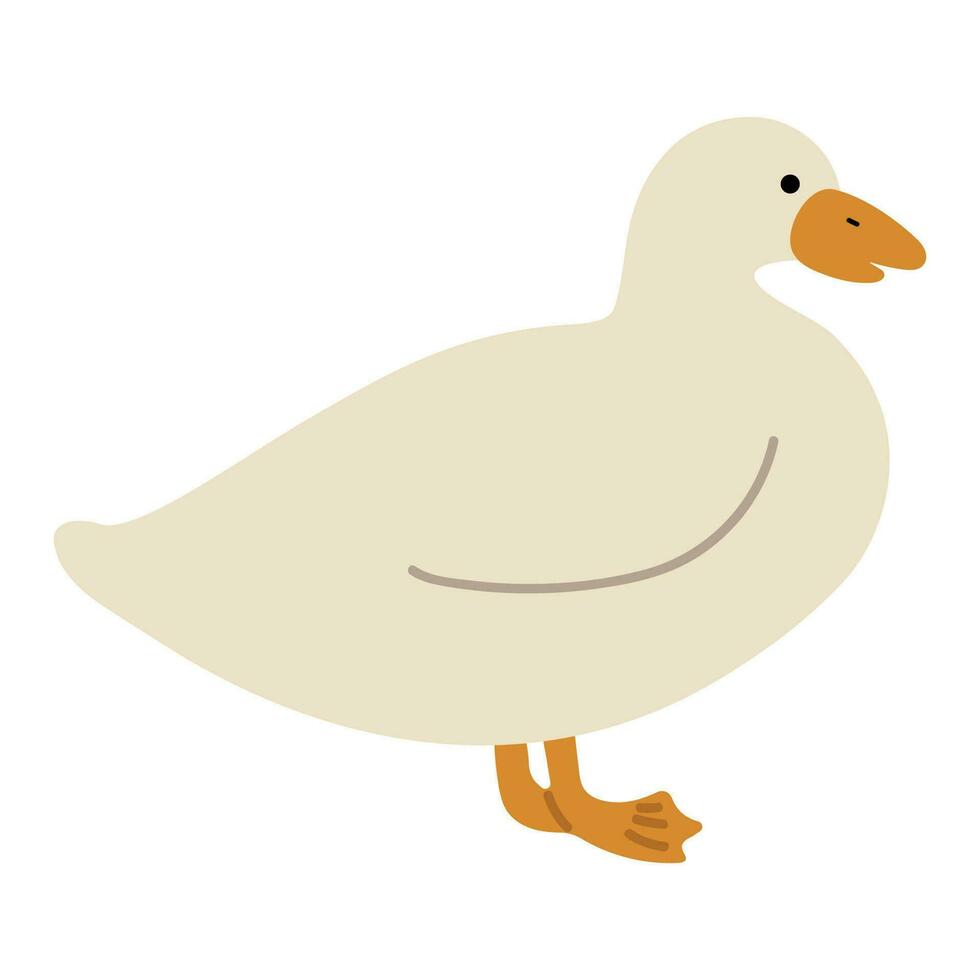 Pato blanco soltero vector