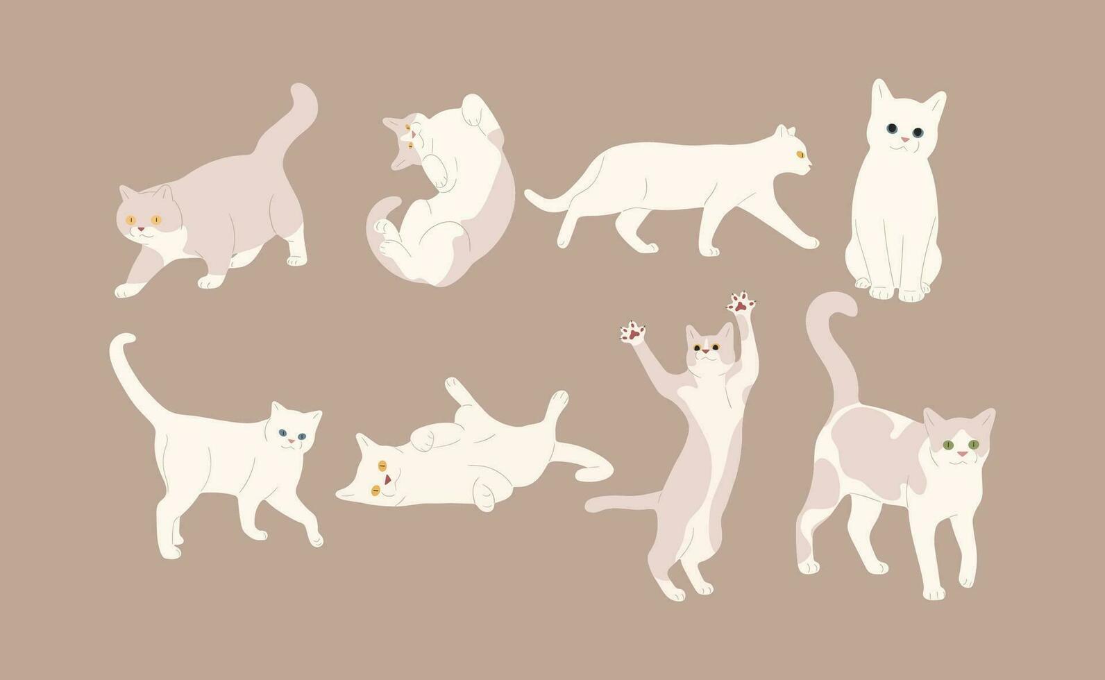 blanco gato grupo vector