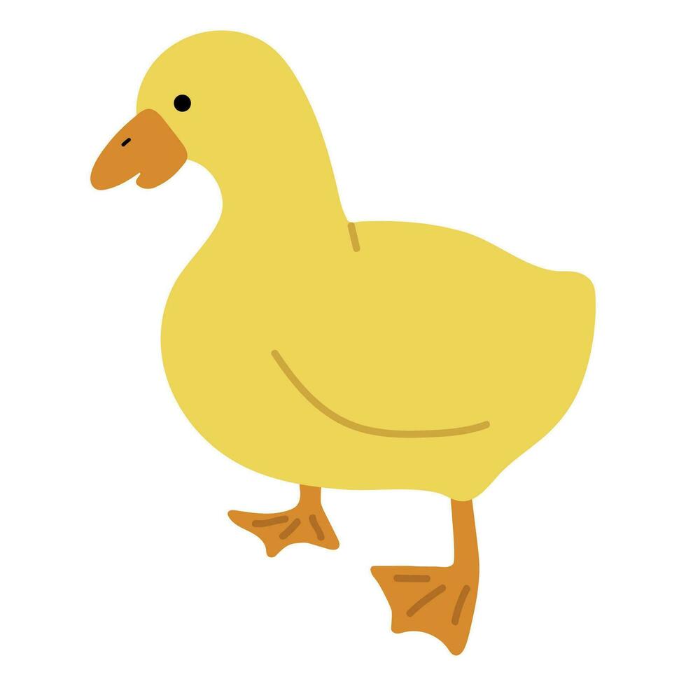 Duck Yellow Single vector