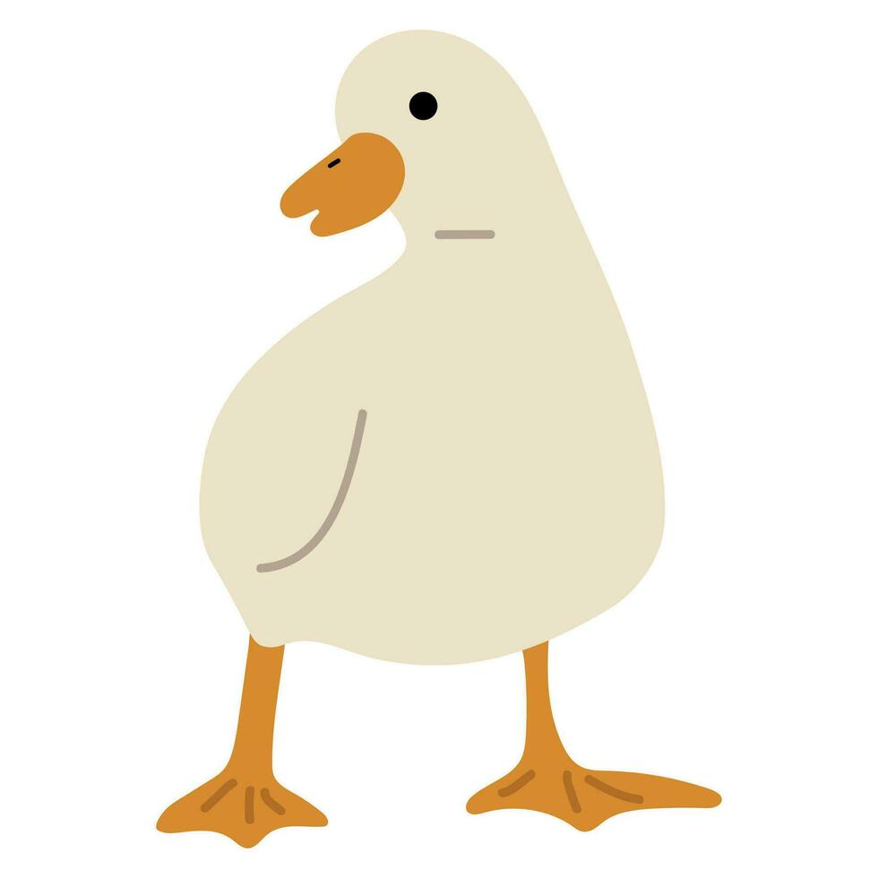 Duck White Single vector