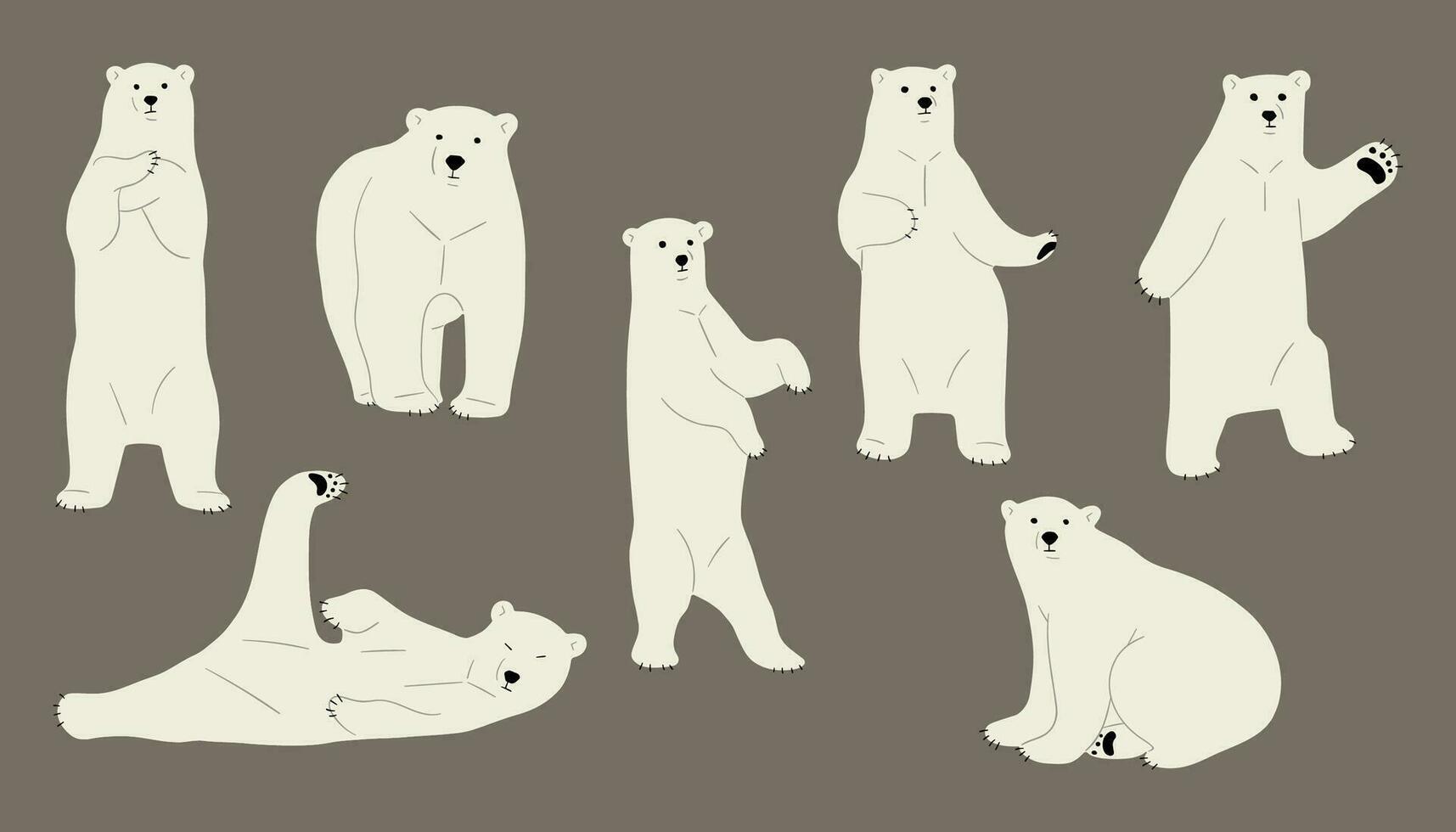 polar oso grupo vector