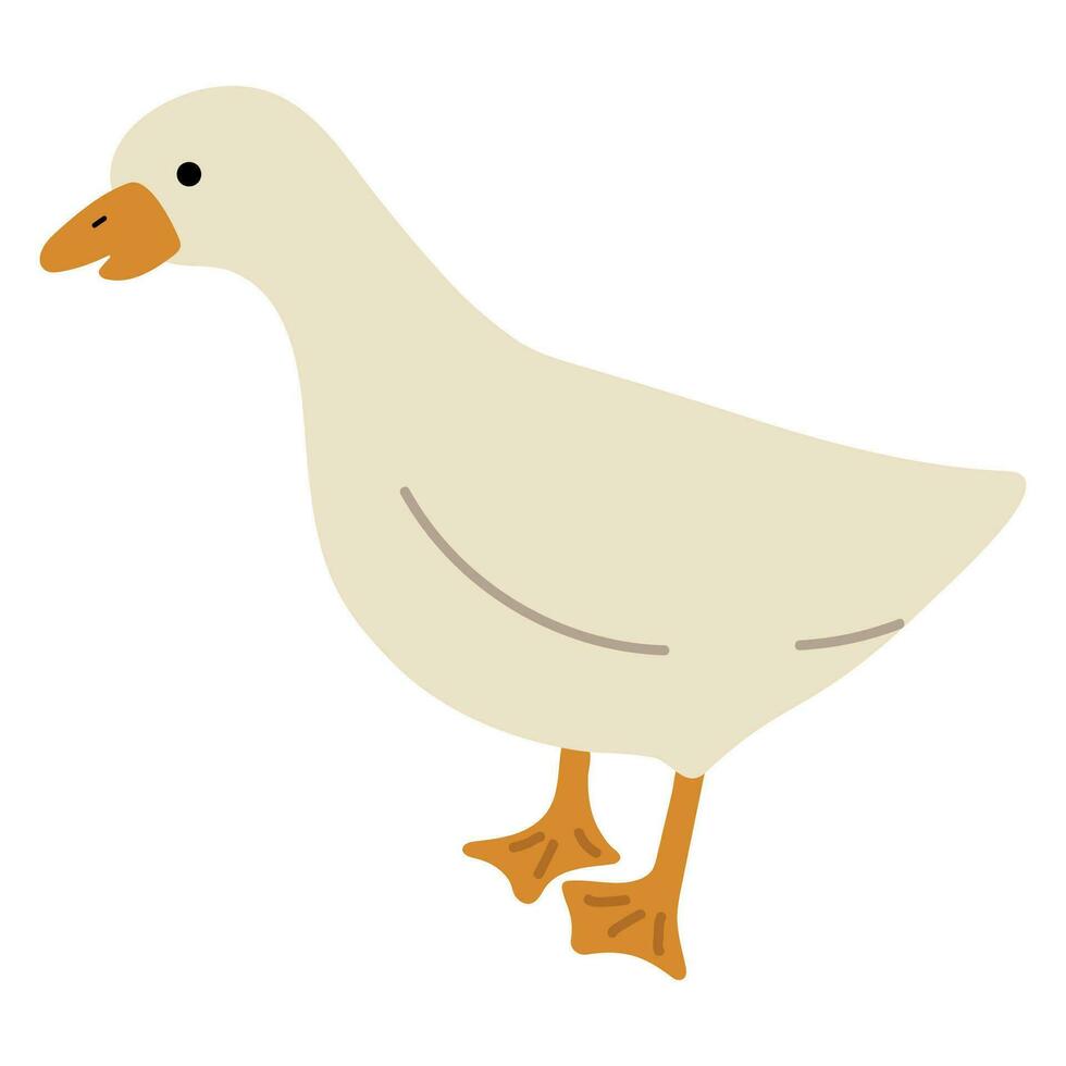 Pato blanco soltero vector