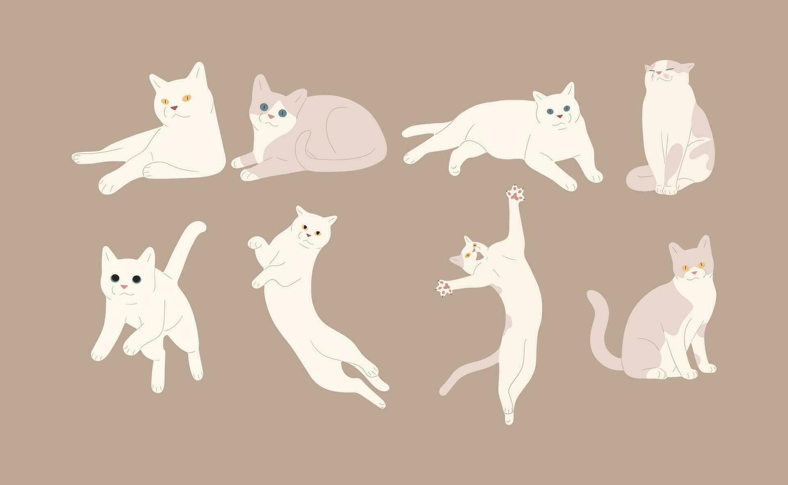 blanco gato grupo vector