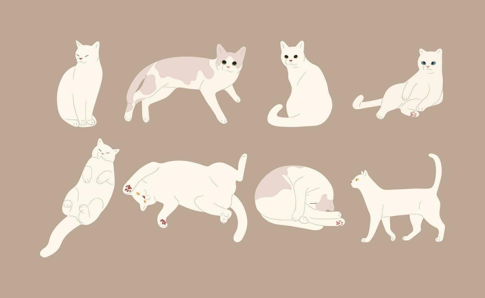 white cat Group vector