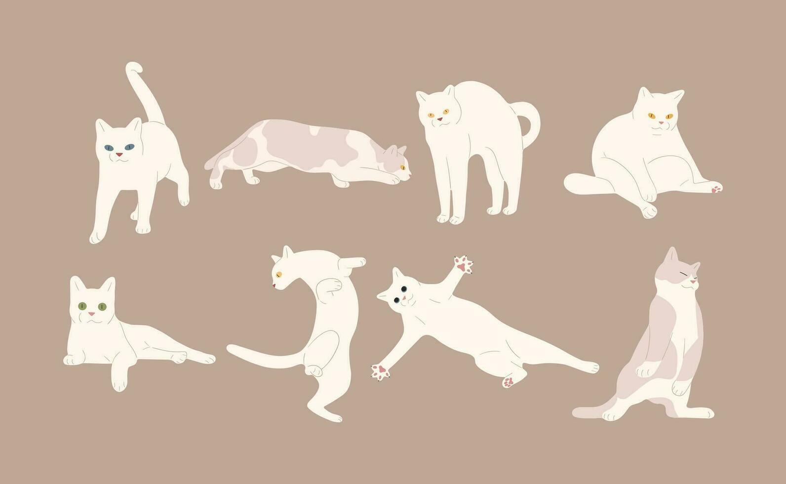 blanco gato grupo vector