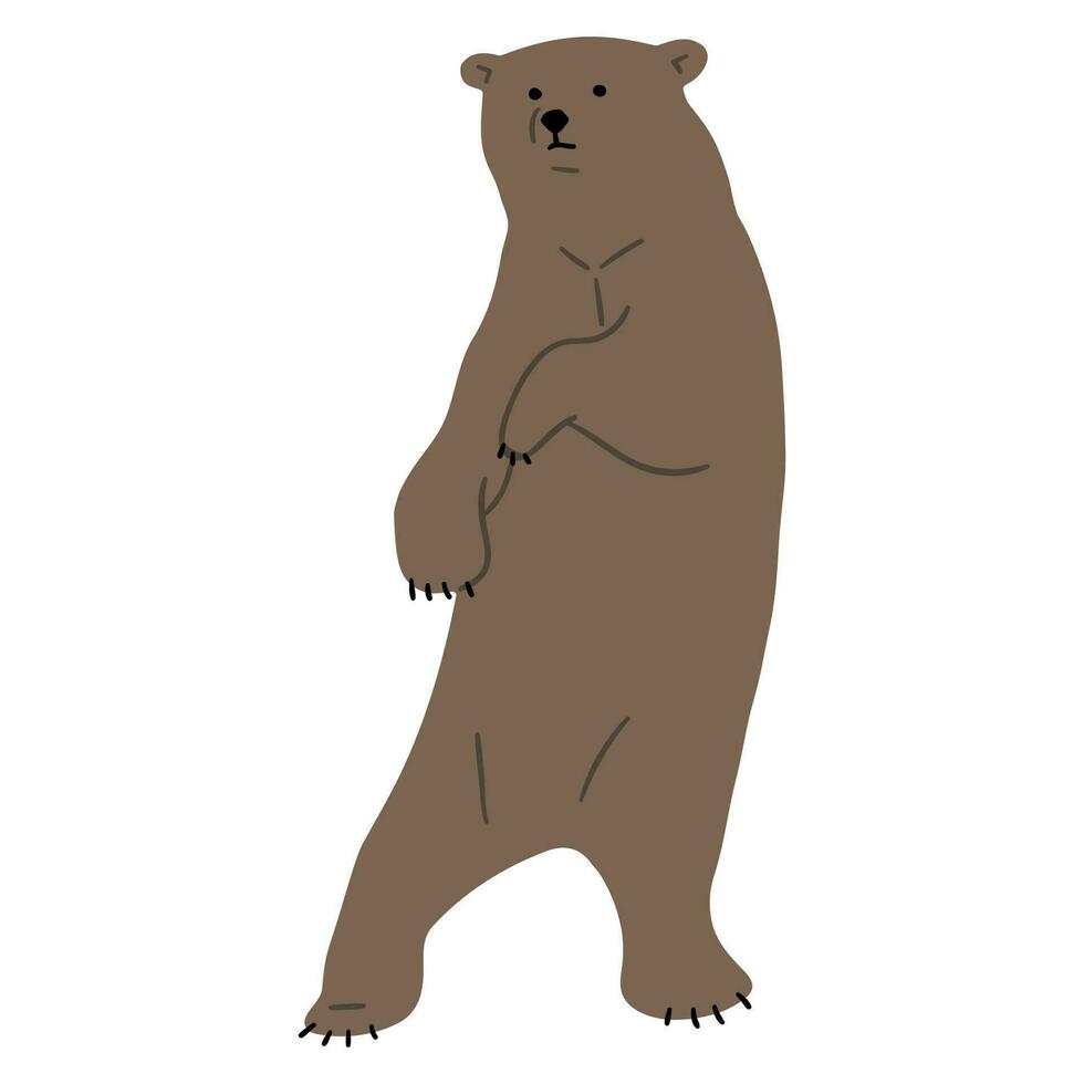 oso pardo oso soltero vector