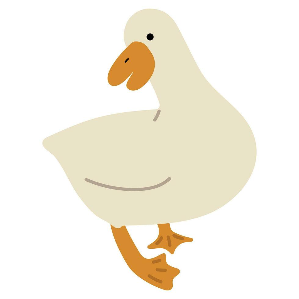 Duck White Single vector