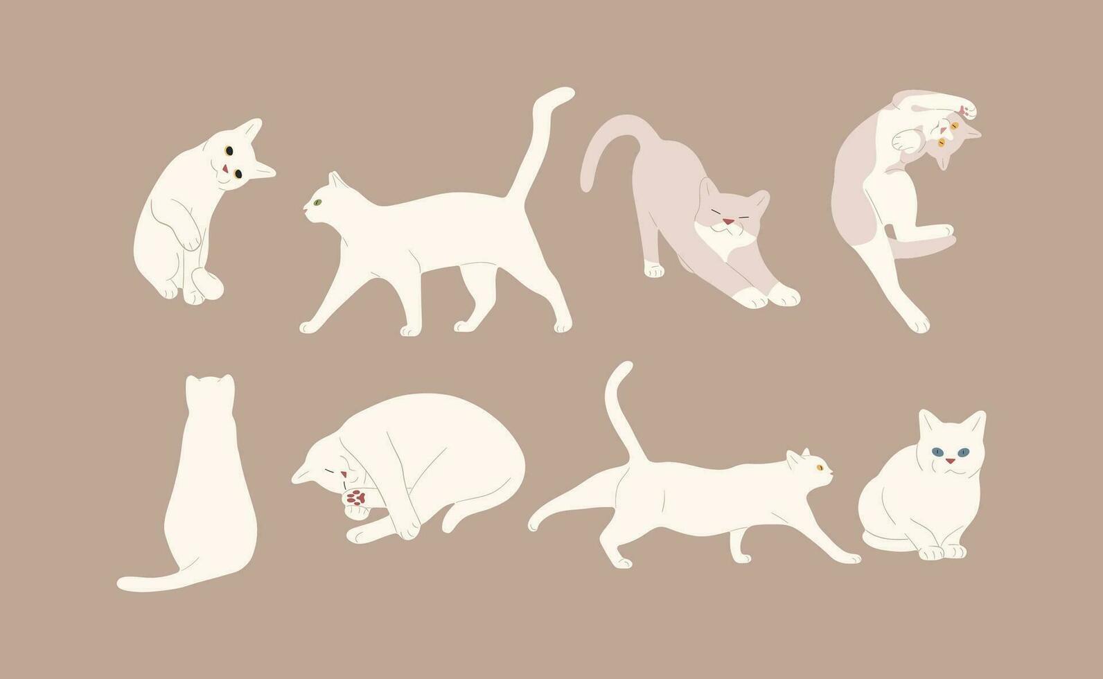 blanco gato grupo vector