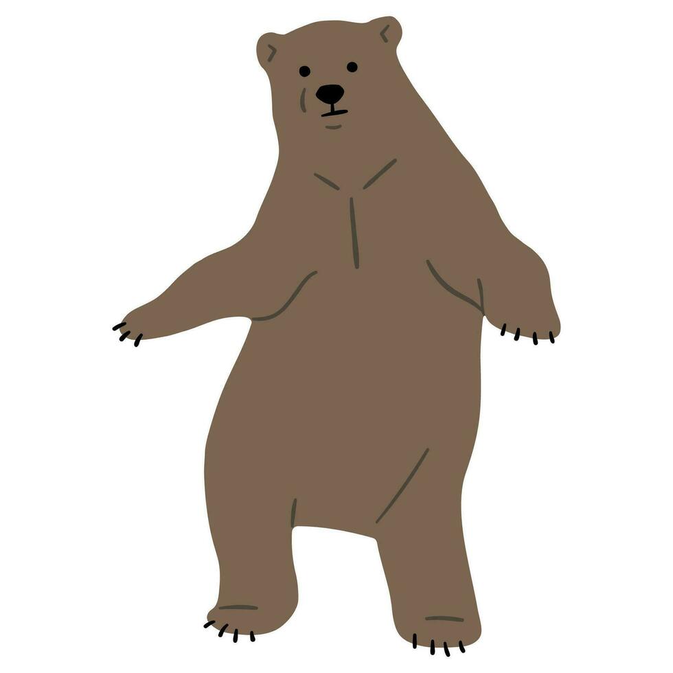 Grizzly Bear Single vector