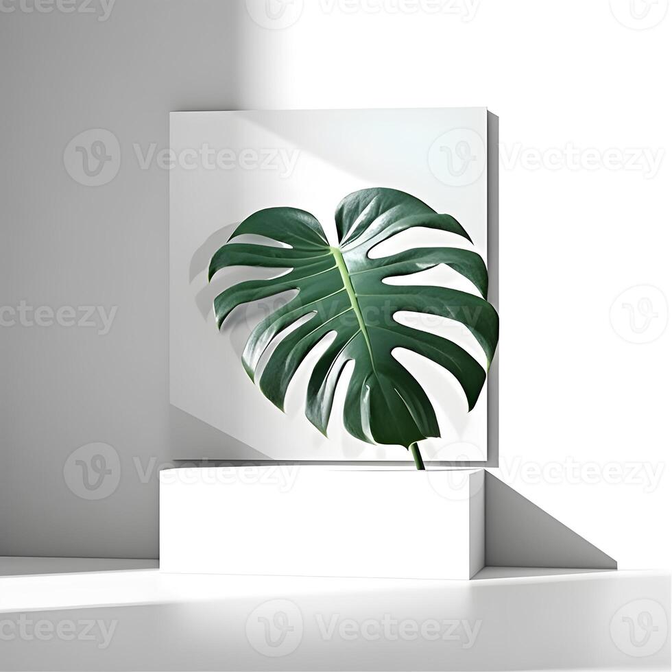 painting canvas and monstera leaves in a clean white room with window shade photo