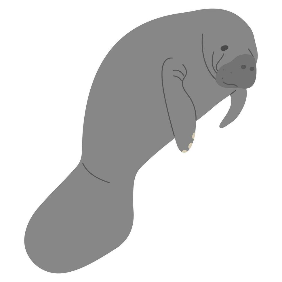 Manatee Single cute vector