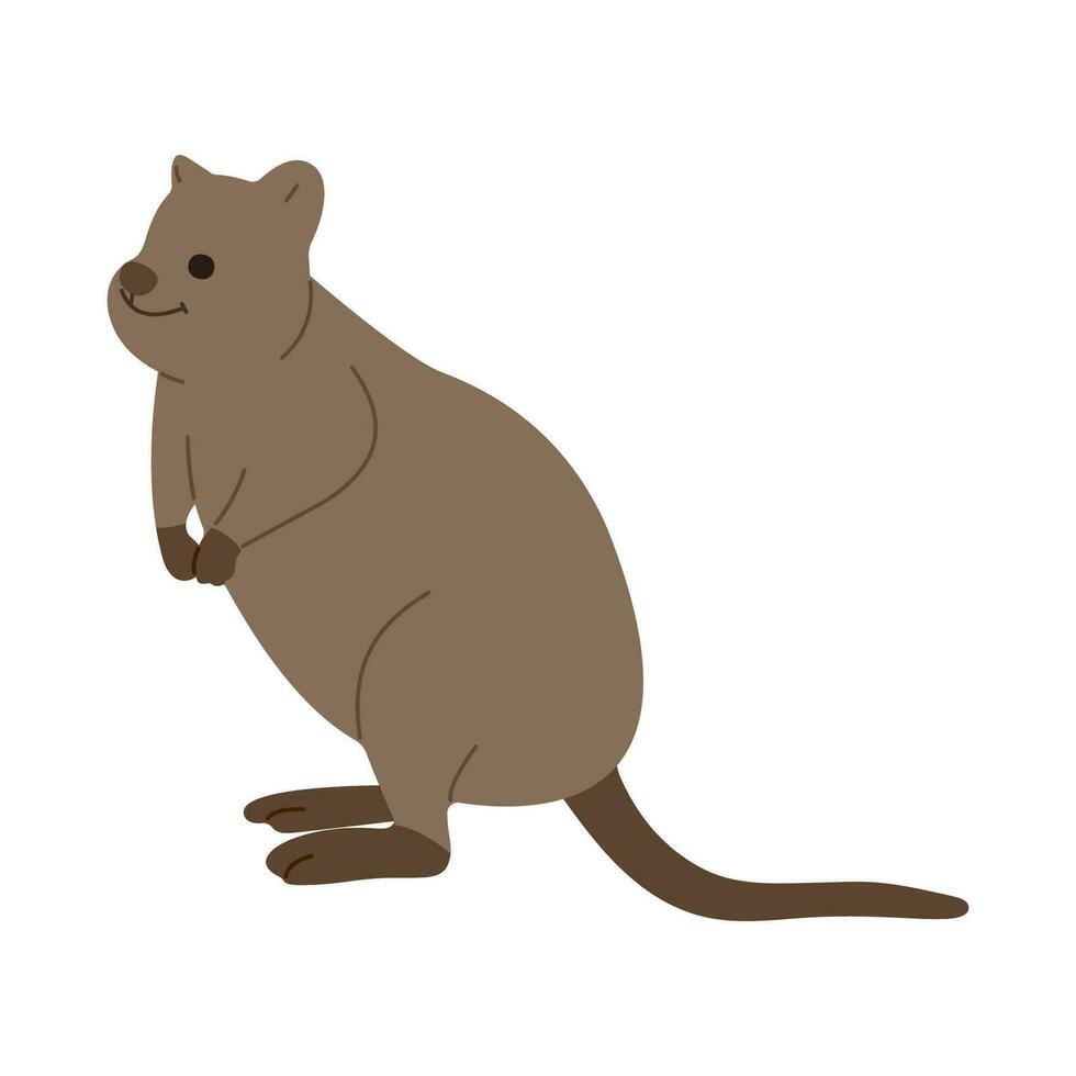 quokka soltero linda vector