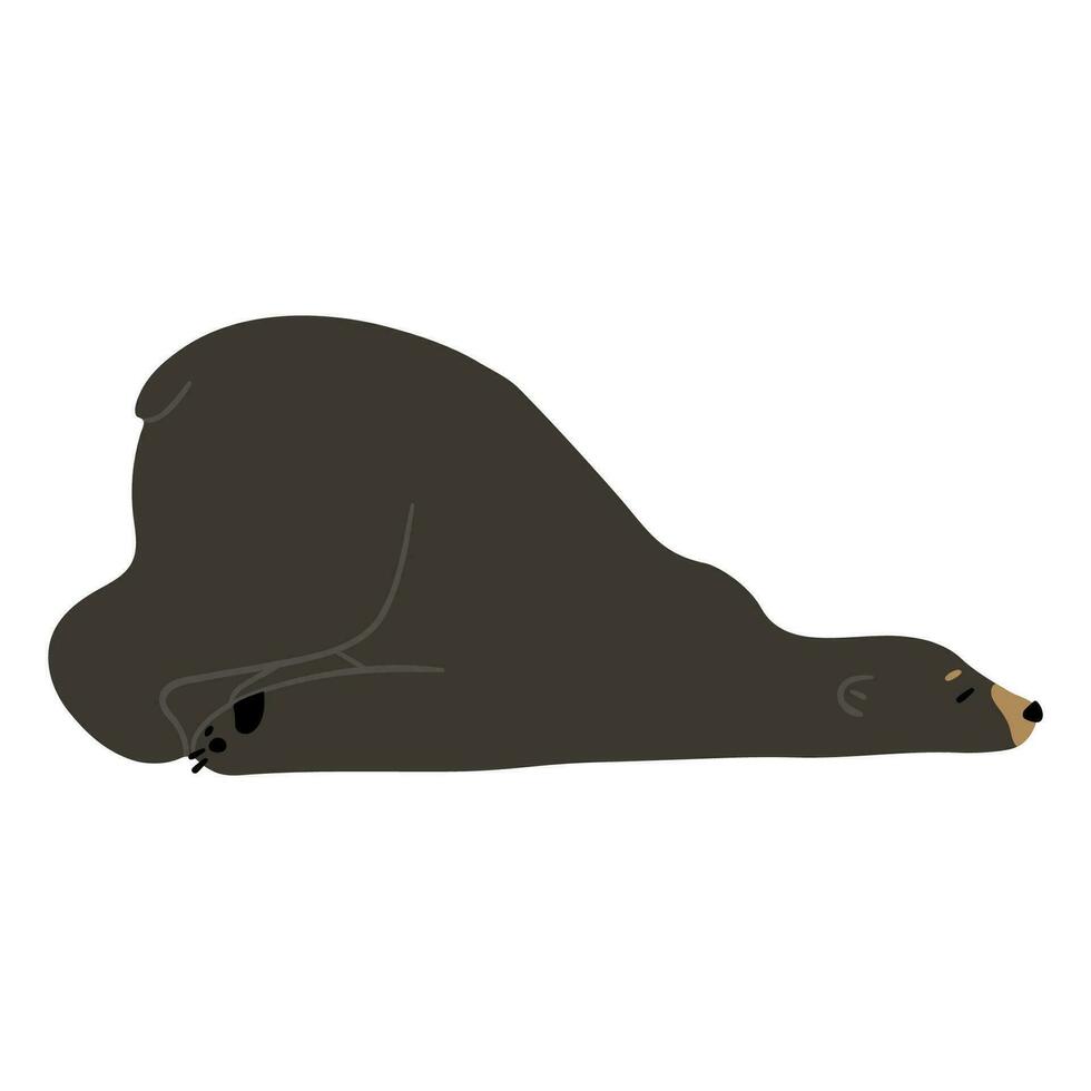 American Black Bear Single vector