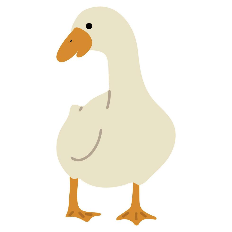 Pato blanco soltero vector