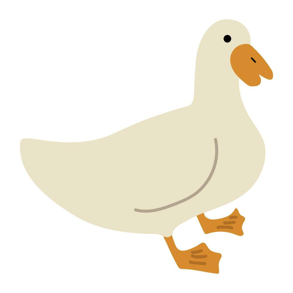 Duck White Single vector