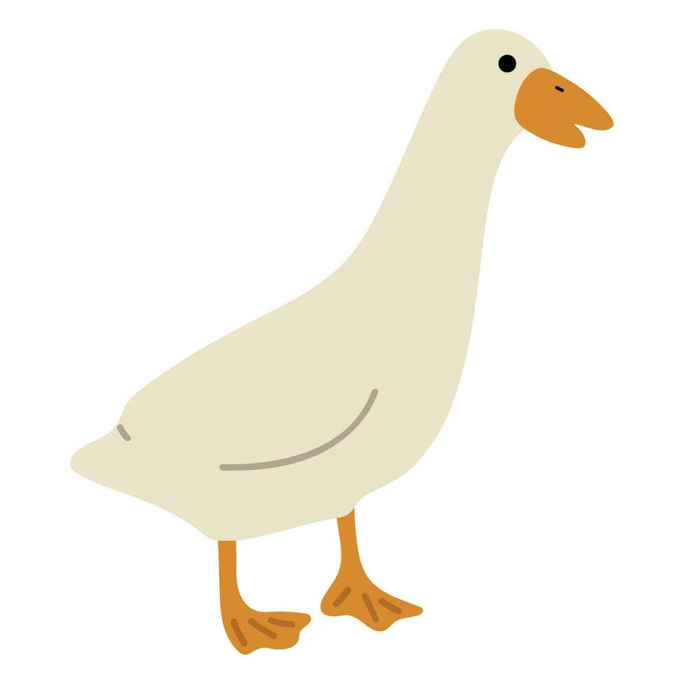 Duck White Single 44 vector