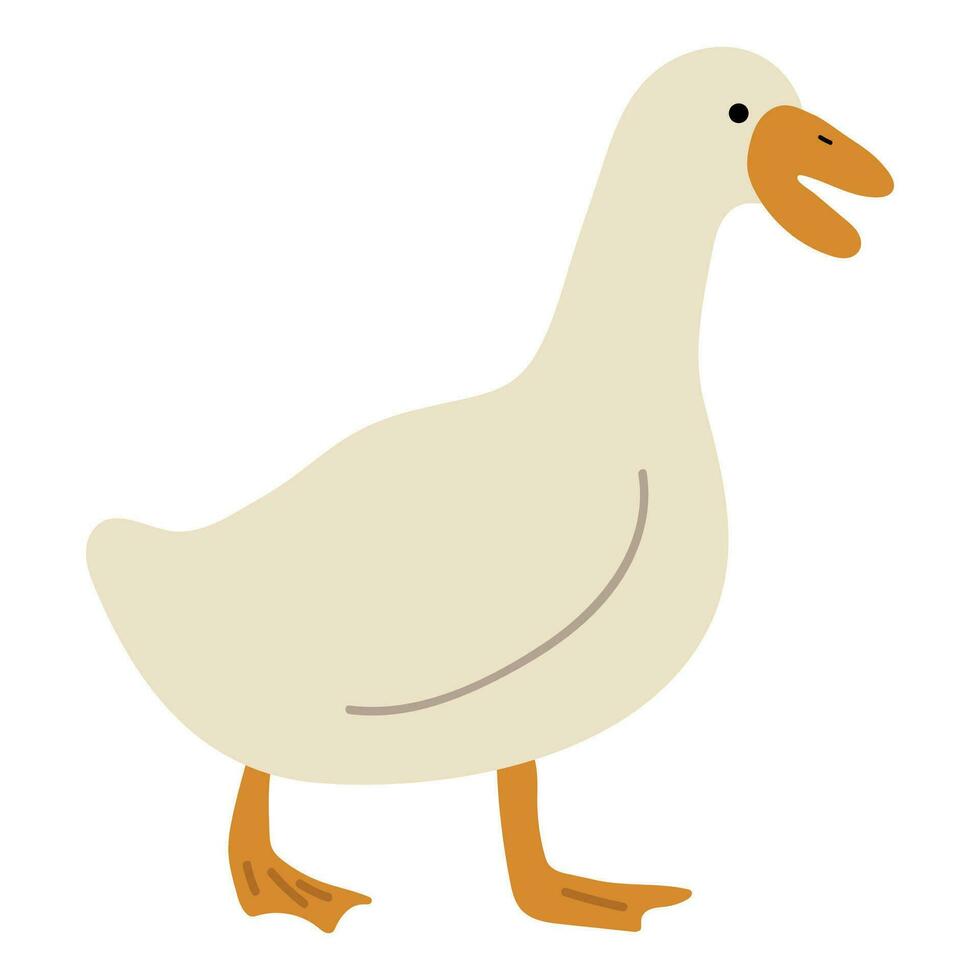 Pato blanco soltero vector