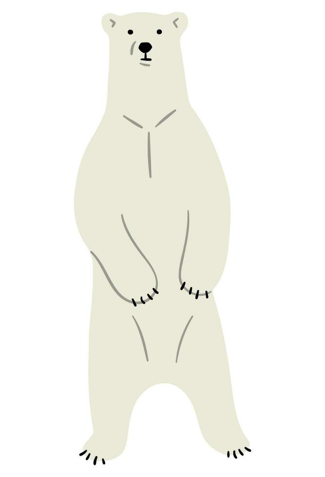 polar oso soltero vector