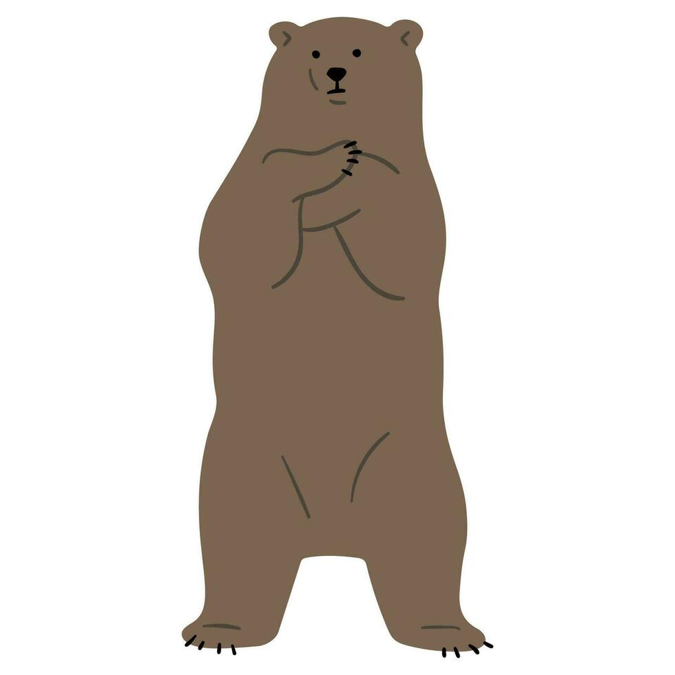 oso pardo oso soltero vector