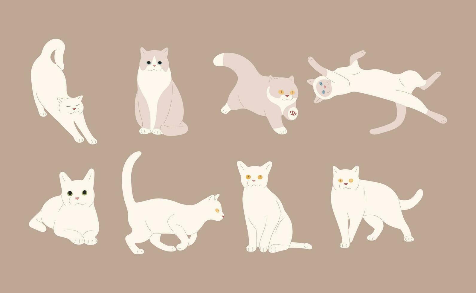 blanco gato grupo vector