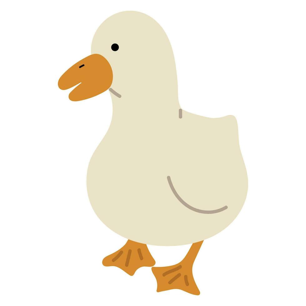 Duck White Single vector