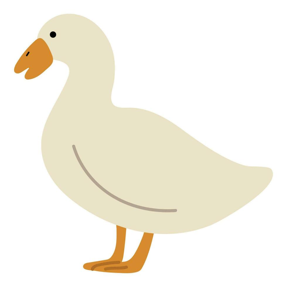 Pato blanco soltero vector