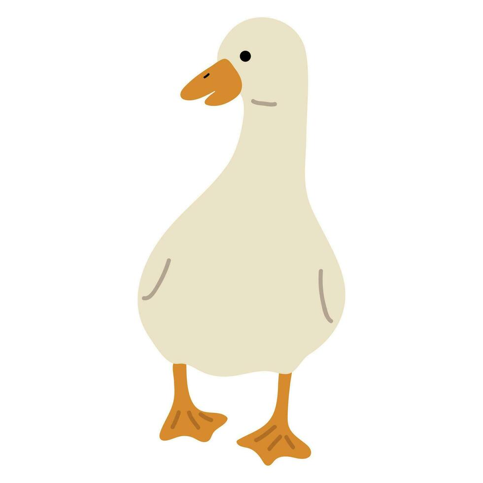 Pato blanco soltero vector