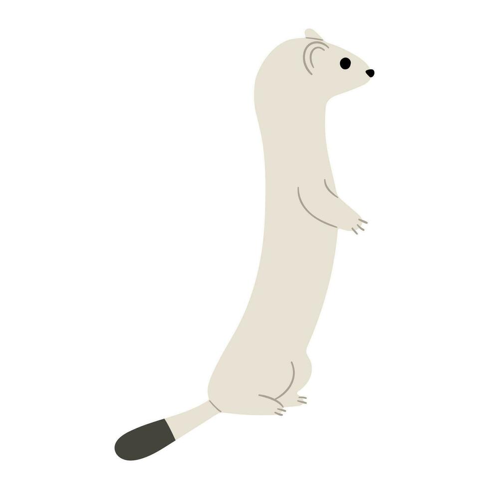 Stoats,ermine and weasels cute vector