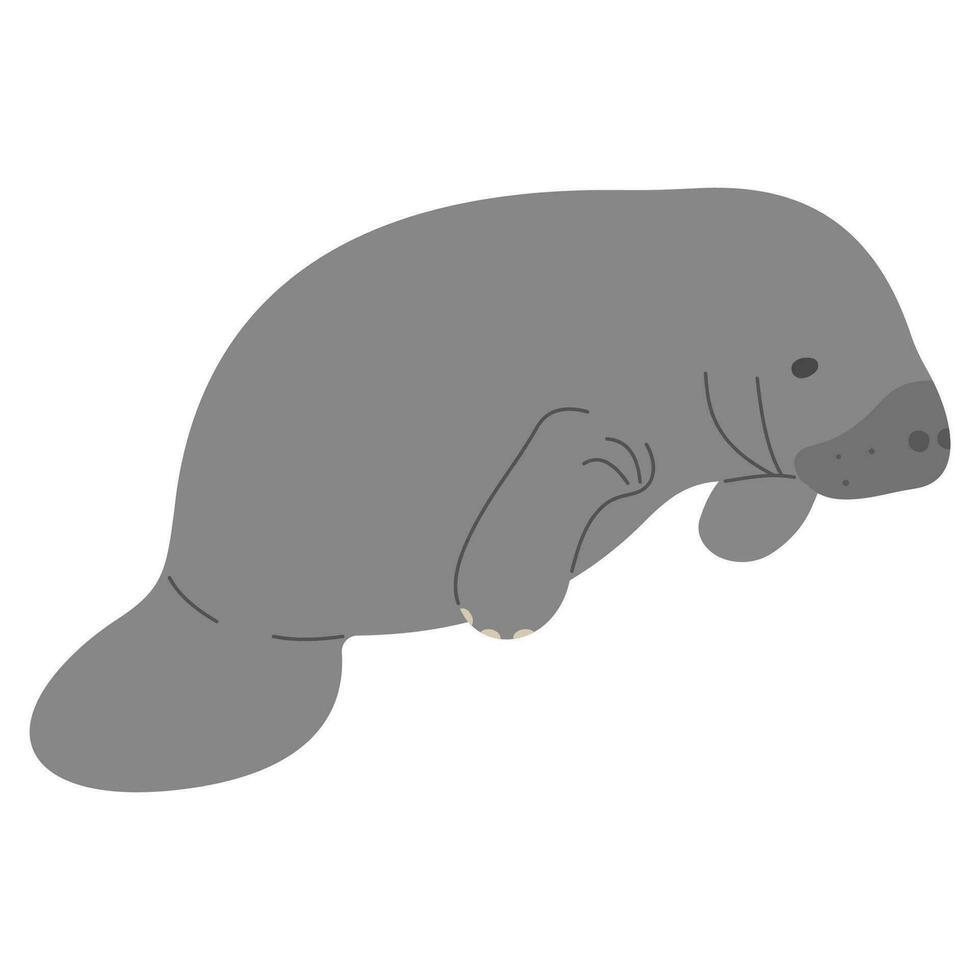 Manatee Single cute vector