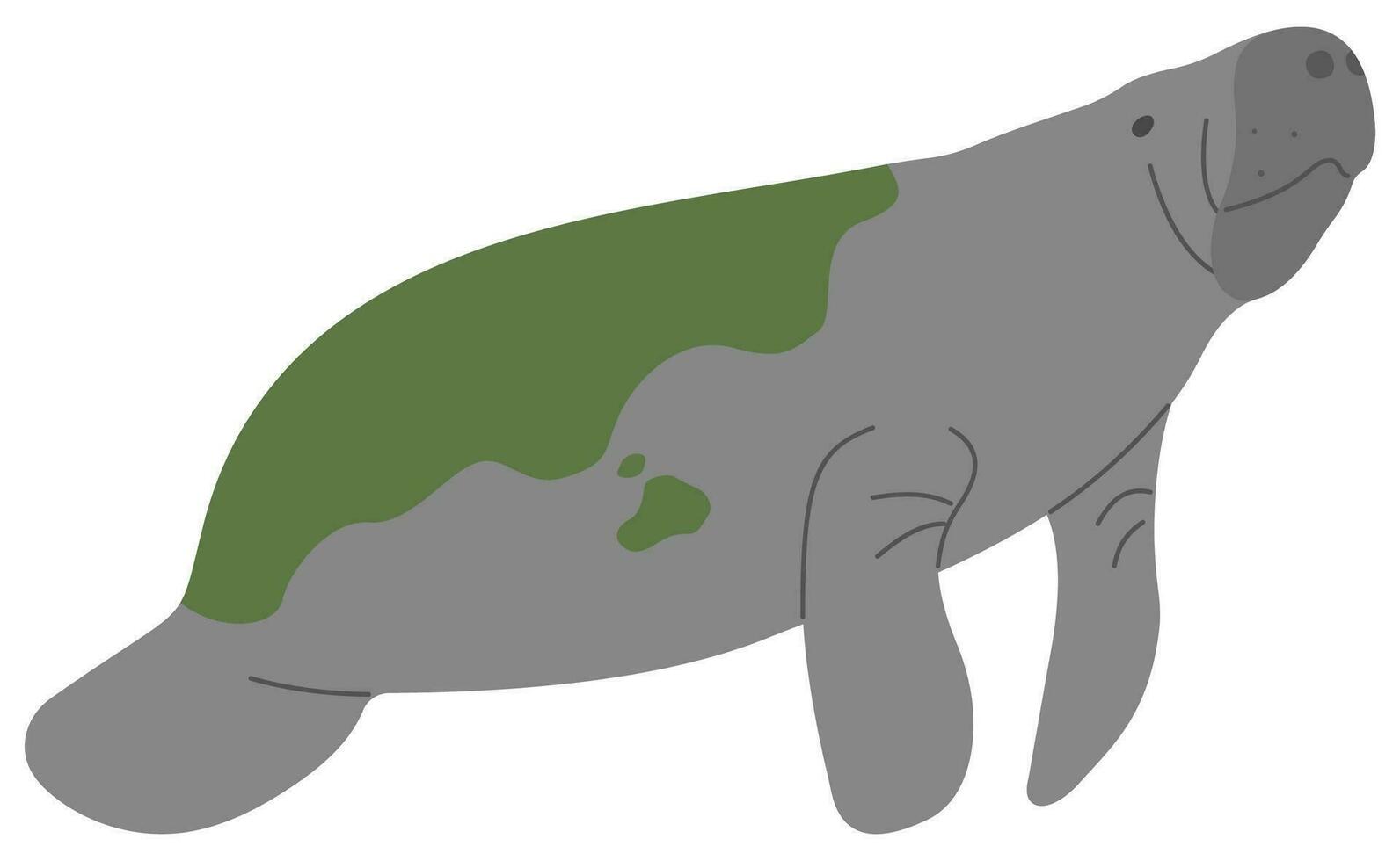 Manatee Single cute vector