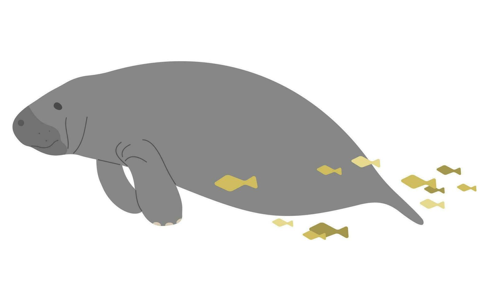 Manatee Single cute 26179126 Vector Art at Vecteezy