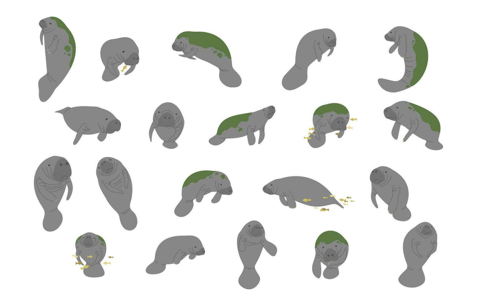 Manatee collection cute vector