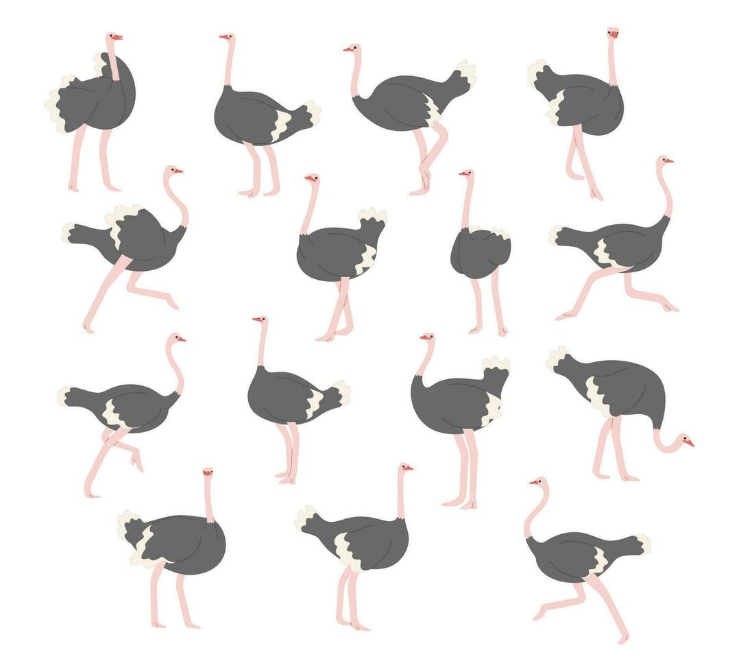 Ostrich collection cute vector