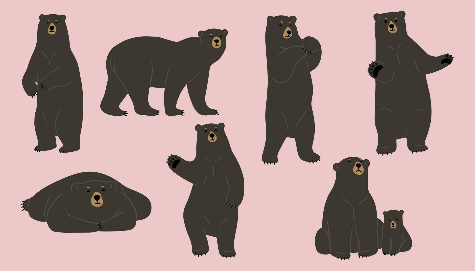 American black bear Vector 26179151 Vector Art at Vecteezy